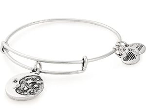 سوار Alex and Ani Path of Symbols قابل للتوسيع للنساء ، Moon and Star Charm ، لمسة نهائية فضية رافائيلية ، 2 إلى 3.5 بوصة